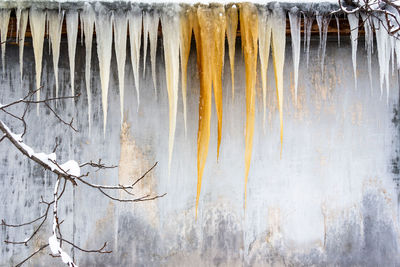 Close-up of icicles hanging on wall