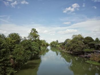 Scenic view of river amidst trees against sky