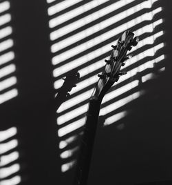 Close-up of guitar against shadow on wall