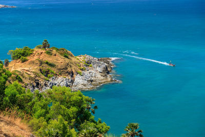 High angle view of trees on beach