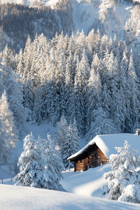 Winter mountain landscape with snowy forest and traditional alpine hut. winter holiday concept