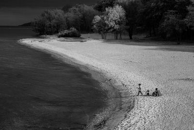 High angle view of road by trees