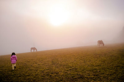 Rear view of horse walking on field