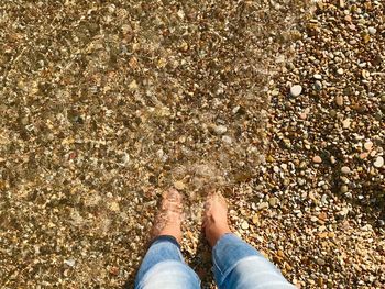 Low section of person standing on pebbles at beach