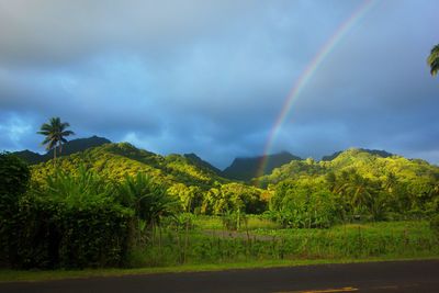 Scenic view of rainbow against sky