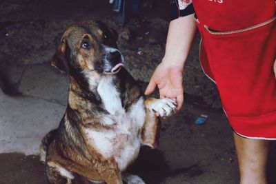 Low section of man with dog