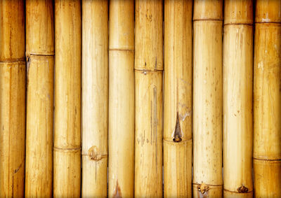 Bamboo fence background or texture.