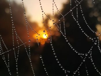 Full frame shot of wet spider web