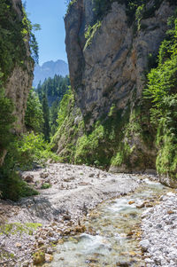 Stream flowing through rocks in forest