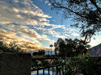 Plants growing by bridge against sky during sunset