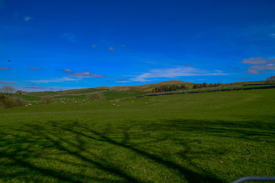 Scenic view of landscape against blue sky
