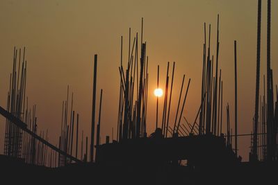 Silhouette plants against sky during sunset