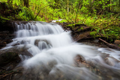 Waterfall in forest