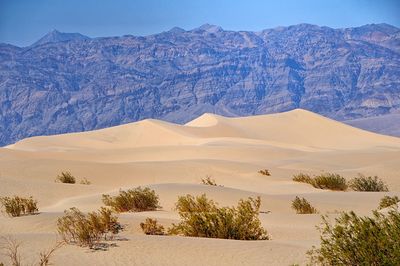 Scenic view of desert against clear sky