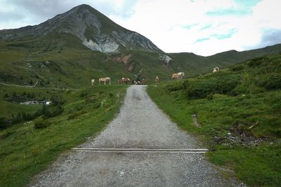 Road passing through mountains
