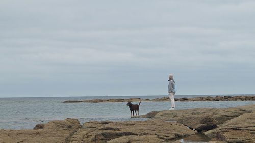 Dog standing on beach against sky