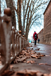 Rear view of boy walking on footpath