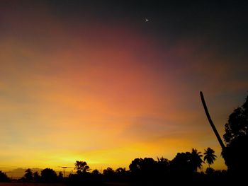 Low angle view of silhouette trees against sky at sunset