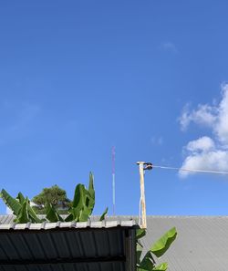 Low angle view of building against blue sky