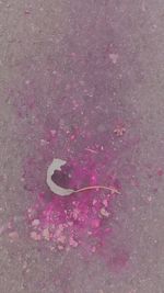 Close-up of red wall