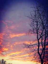 Low angle view of bare tree against cloudy sky