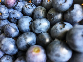 Full frame shot of blueberries