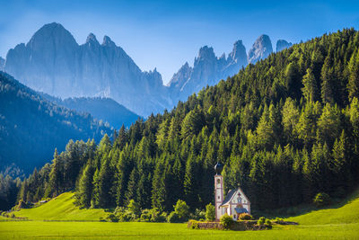 Panoramic view of trees and mountains against sky