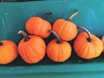 Close-up of pumpkins