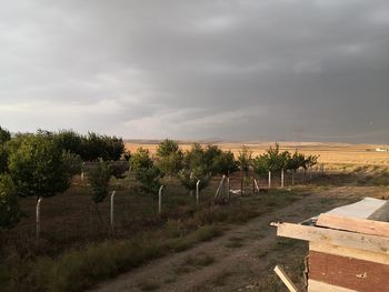 Scenic view of field against sky