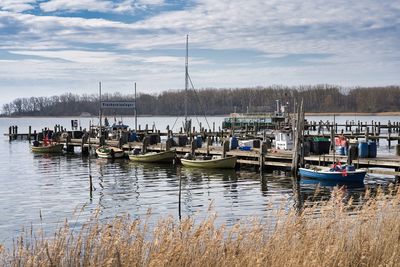 Boats in harbor