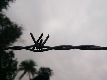 Close-up of silhouette barbed wire against sky