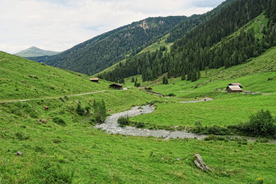 Scenic view of green landscape against sky