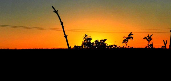 Silhouette trees on field against sky during sunset