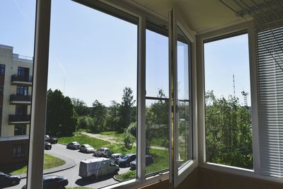 Trees against clear sky seen through window