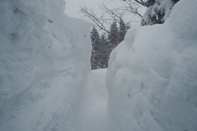 Snow covered landscape