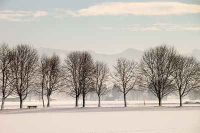 Bare trees on snow field against sky