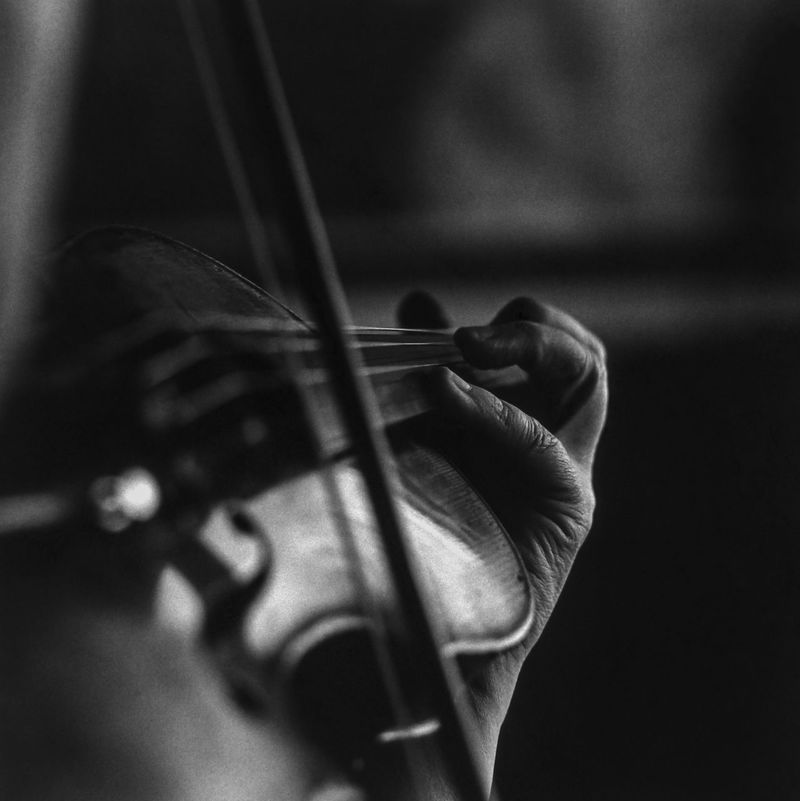 Violin pictures | EyeEm