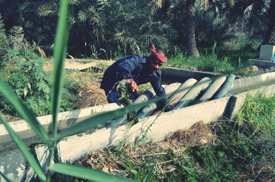 People by plants on land