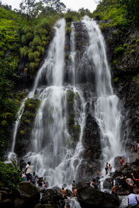 View of waterfall in forest
