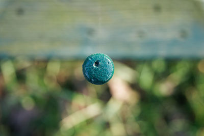 Directly above shot of nail at park