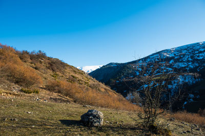 Scenic view of field against clear blue sky