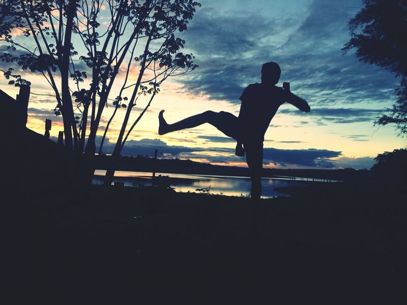 silhouette, sunset, bird, sky, tree, animal themes, full length, water, cloud - sky, wildlife, animals in the wild, nature, sea, beauty in nature, cloud, tranquility, mid-air, tranquil scene