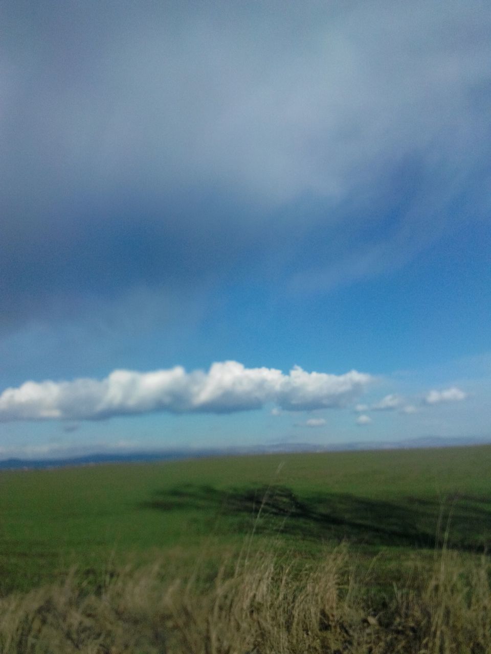 landscape, sky, field, tranquil scene, tranquility, scenics, grass, beauty in nature, cloud - sky, rural scene, nature, agriculture, cloud, horizon over land, cloudy, farm, growth, remote, day, idyllic