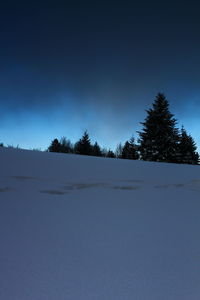 Trees on snow covered landscape against blue sky