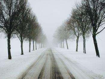 Road amidst bare trees during winter