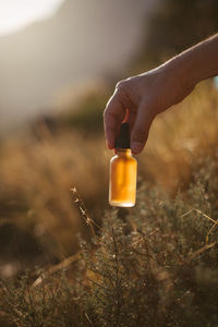 Cropped hand holding bottle over plants