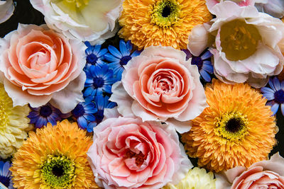 High angle view of roses and yellow mums floating on the watert