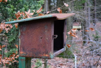 Close-up of birdhouse in a forest