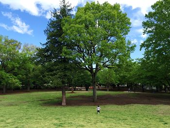 Little boy playing on grassy field in park