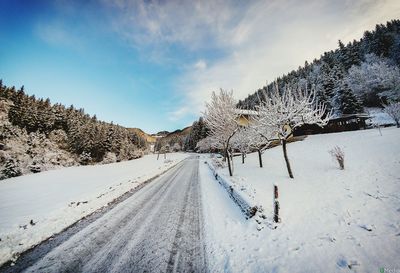 Snow covered road by trees against sky